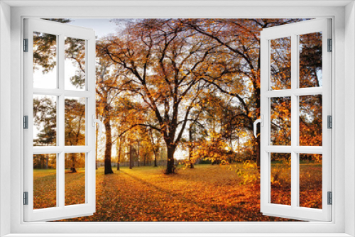 Fototapeta Naklejka Na Ścianę Okno 3D - Autumn panorama in park