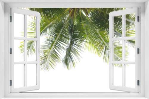Fototapeta Naklejka Na Ścianę Okno 3D - green coconut leaf or tree branch isolated on white background.Selection focus.