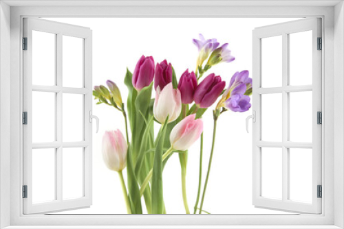 Fototapeta Naklejka Na Ścianę Okno 3D - Flowers Tulip and Freesia isolated on white background. Bouquet of purple pink spring flowers.