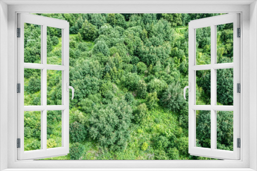 Fototapeta Naklejka Na Ścianę Okno 3D - aerial view of green deciduous trees and bushes in wilderness forest area. summer countryside  landscape.