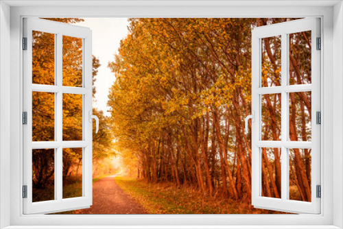 Fototapeta Naklejka Na Ścianę Okno 3D - Autumn landscape