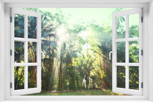 Fototapeta Naklejka Na Ścianę Okno 3D - Sunny jungle