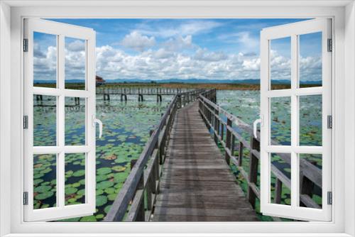 Fototapeta Naklejka Na Ścianę Okno 3D - THAILAND PRACHUAP SAM ROI YOT LOTUS LAKE