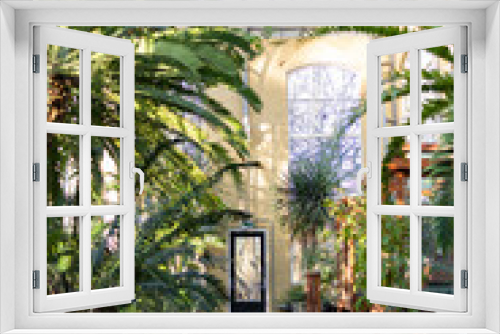 Fototapeta Naklejka Na Ścianę Okno 3D - A beautiful greenhouse filled with a variety of plants and flowers. The vibrant colors and lush greenery create a stunning backdrop for any photo. Natural light.