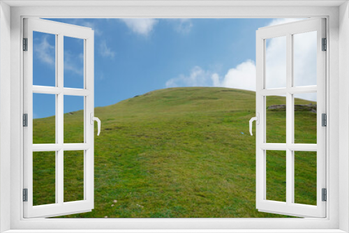 Fototapeta Naklejka Na Ścianę Okno 3D - grass and blue sky, Landscape  