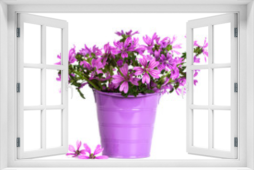 Fototapeta Naklejka Na Ścianę Okno 3D - wild violet flowers in bucket