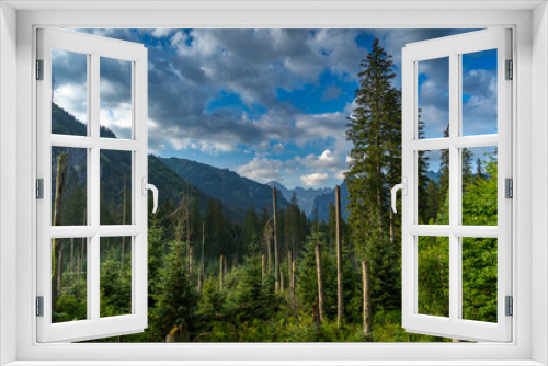 Fototapeta Naklejka Na Ścianę Okno 3D - Górski krajobraz w drodze nad Morskie Oko