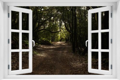 Fototapeta Naklejka Na Ścianę Okno 3D - Path in the forest