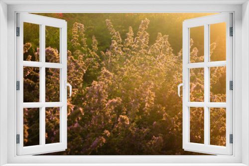 Fototapeta Naklejka Na Ścianę Okno 3D - Summer Flair