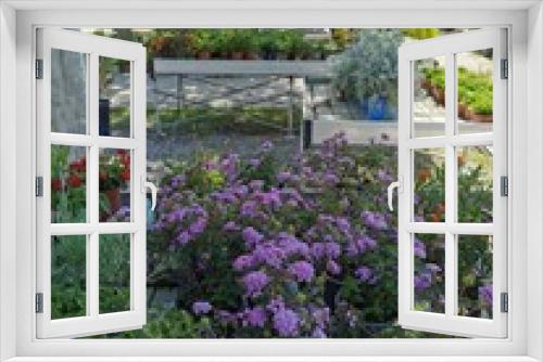Fototapeta Naklejka Na Ścianę Okno 3D - Flores coloridas