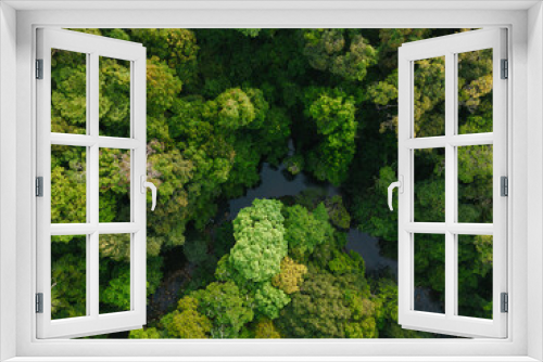 Fototapeta Naklejka Na Ścianę Okno 3D - Aerial View of a River flowing in the lush green Forest 
