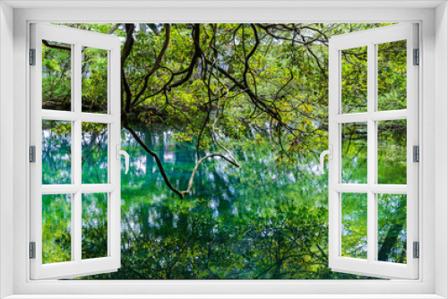 Fototapeta Naklejka Na Ścianę Okno 3D - 日本の風景　山形県遊佐町　神秘の池　丸池様	

