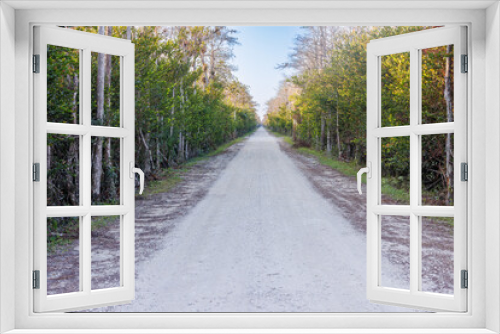 Fototapeta Naklejka Na Ścianę Okno 3D - shaded road among the Everglades
