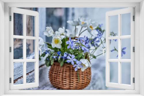 Fototapeta Naklejka Na Ścianę Okno 3D - Bouquet of wood anemone, Phlox divaricata, creeping speedwell in a basket