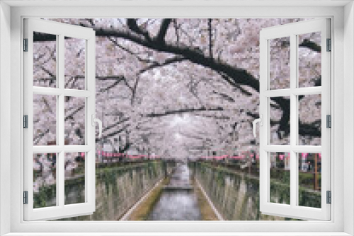 Fototapeta Naklejka Na Ścianę Okno 3D - Cherry blossom at Meguro river, Tokyo, Japan