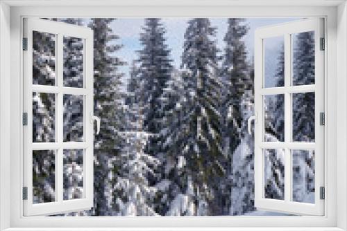 Fototapeta Naklejka Na Ścianę Okno 3D - Pine Forest in Winter