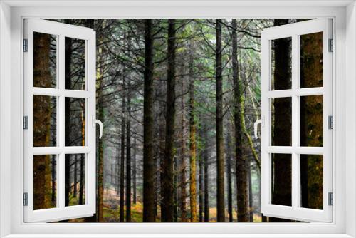 Fototapeta Naklejka Na Ścianę Okno 3D - forest in winter
