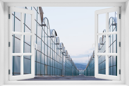 Fototapeta Naklejka Na Ścianę Okno 3D - Industrial greenhouse endless glass window row