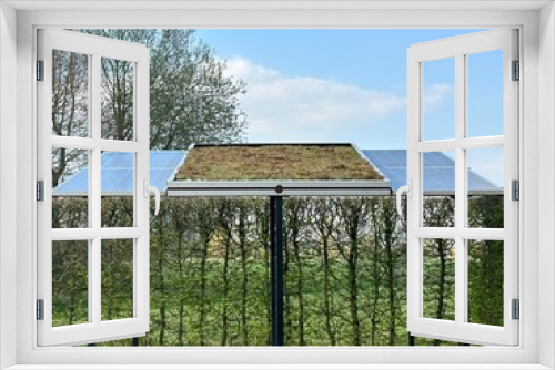 Fototapeta Naklejka Na Ścianę Okno 3D - Solar panels with green roof. The combination of solar panels and green roofing is a great example of ecosystem equipment in a residential environment.  Appeltern, Netherlands