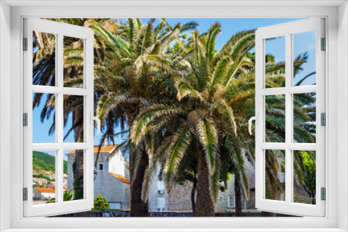 Fototapeta Naklejka Na Ścianę Okno 3D - Palm trees in old town of Budva, Montenegro