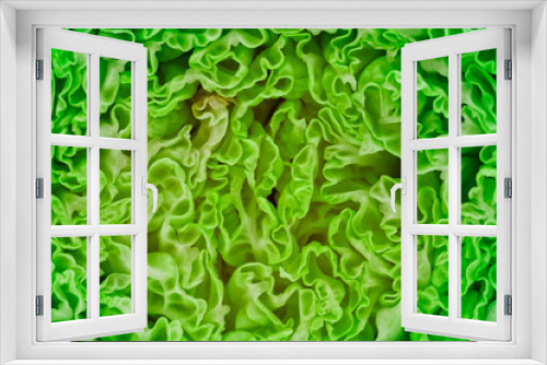 Fototapeta Naklejka Na Ścianę Okno 3D - Salatprofil