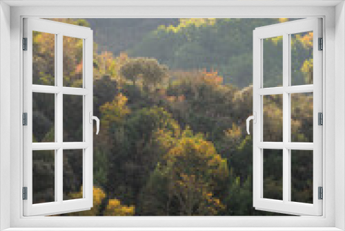 Fototapeta Naklejka Na Ścianę Okno 3D - First autumn symptoms of changes in the color of the leaves of the trees