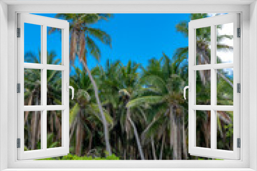 Fototapeta Naklejka Na Ścianę Okno 3D - Dominican Republic, beautiful Caribbean coast with turquoise water and palm trees.