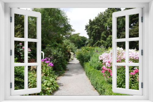 Fototapeta Naklejka Na Ścianę Okno 3D - Blumen und Weg im Botanischen Garten in Christchurch Neuseeland