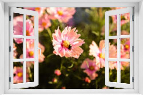 Fototapeta Naklejka Na Ścianę Okno 3D - Flowers in garden