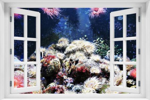 Fototapeta Naklejka Na Ścianę Okno 3D - sea anemone natural background