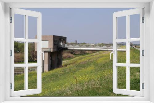 Fototapeta Naklejka Na Ścianę Okno 3D - 松戸　江戸川堤防にある菜の花畑