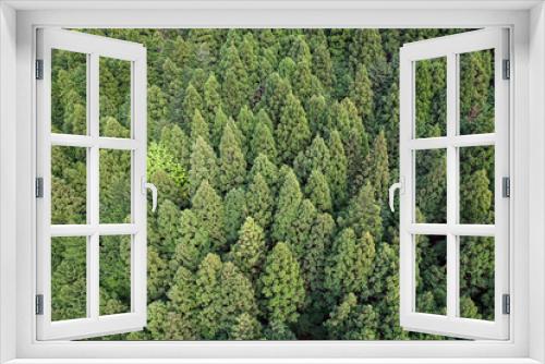 Fototapeta Naklejka Na Ścianę Okno 3D - 上から見た針葉樹林

