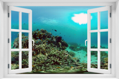 Fototapeta Naklejka Na Ścianę Okno 3D - Tropical fishes and coral reef at diving. Beautiful underwater world with corals and fish. Philippines. 360 panorama VR