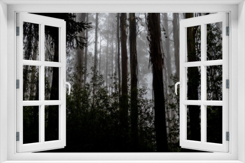 Fototapeta Naklejka Na Ścianę Okno 3D - Forest trees with fog in the backdrop 