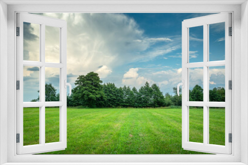 Fototapeta Naklejka Na Ścianę Okno 3D - Green meadow with trees on the horizon and abstract clouds on the blue sky, Nowiny, Poland