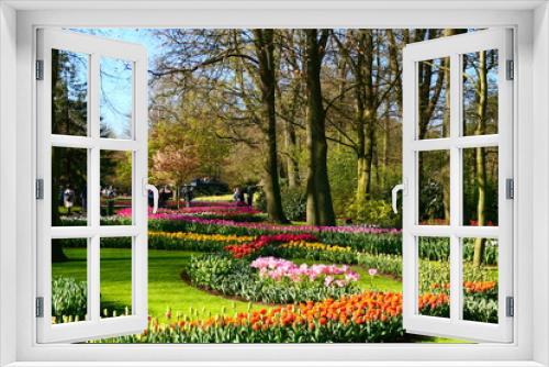 Fototapeta Naklejka Na Ścianę Okno 3D - Tulpenblüte in Holland, Keukenhof (3)