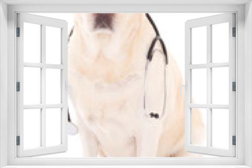 Fototapeta Naklejka Na Ścianę Okno 3D - dog sitting with stethoscope isolated on white