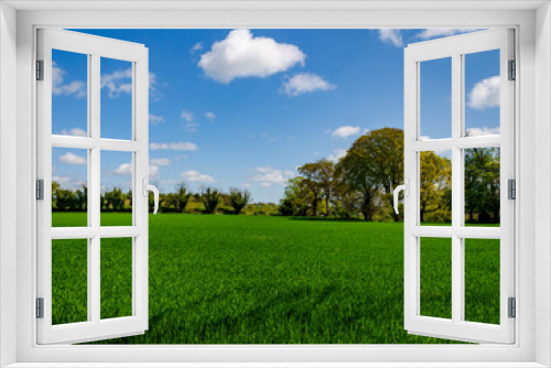 Fototapeta Naklejka Na Ścianę Okno 3D - Beautiful green pasture with blue sky and some clouds near Minnowburn County Down Northern Ireland