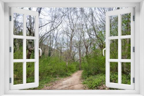 Fototapeta Naklejka Na Ścianę Okno 3D - Spring view of Belasitsa Mountain, Bulgaria