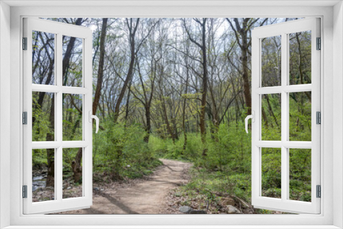 Fototapeta Naklejka Na Ścianę Okno 3D - Spring view of Belasitsa Mountain, Bulgaria