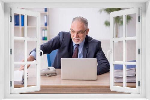 Old male employee working in the office