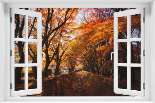 Fototapeta Naklejka Na Ścianę Okno 3D - Beautiful romantic way in the park with the maple golden fall leaf and maple trees at the Japan in autumn season, the colorful day in autumn season around the road at park.