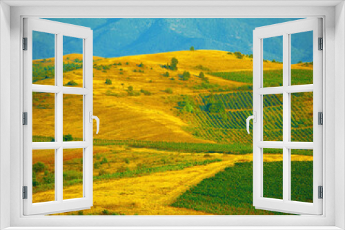 Fototapeta Naklejka Na Ścianę Okno 3D - Outdoor agriculture landscape, farm and mountains with plants, leaves and sustainability for ecology with crops. Sustainable farming, agro countryside and hill for eco friendly development in nature