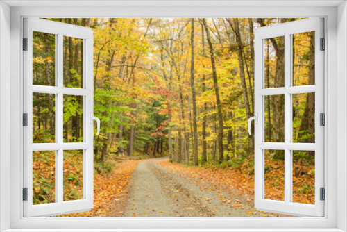 Fototapeta Naklejka Na Ścianę Okno 3D - Forest Road and Autumn Colours
