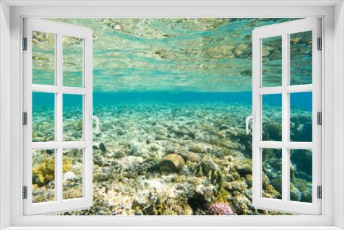 Fototapeta Naklejka Na Ścianę Okno 3D - Coral reef under sea water.