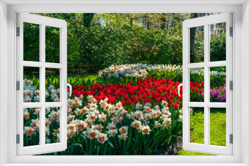 Fototapeta Naklejka Na Ścianę Okno 3D - Beautiful blooming flowers in Keukenhof Garden in Holland. Selective focus
