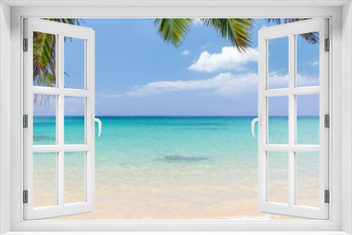 Fototapeta Naklejka Na Ścianę Okno 3D - Sunny vacation landscape of sea, palms and sky