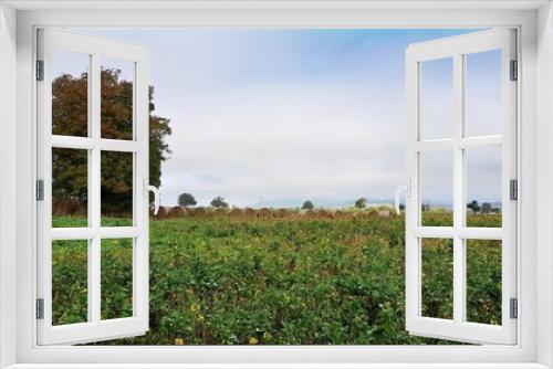Fototapeta Naklejka Na Ścianę Okno 3D - Wanderweg im Herbst mit Strohballen
