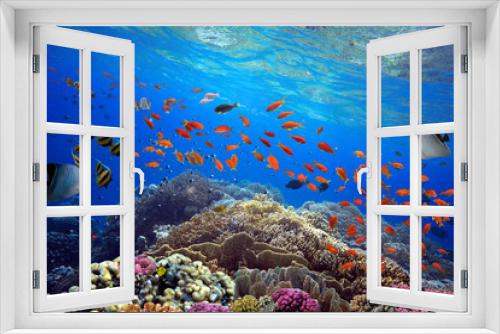 Fototapeta Naklejka Na Ścianę Okno 3D - Beautiful tropical coral reef with shoal or red coral fish, anthias