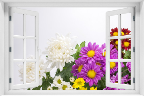 Fototapeta Naklejka Na Ścianę Okno 3D - カラフルな菊の花々